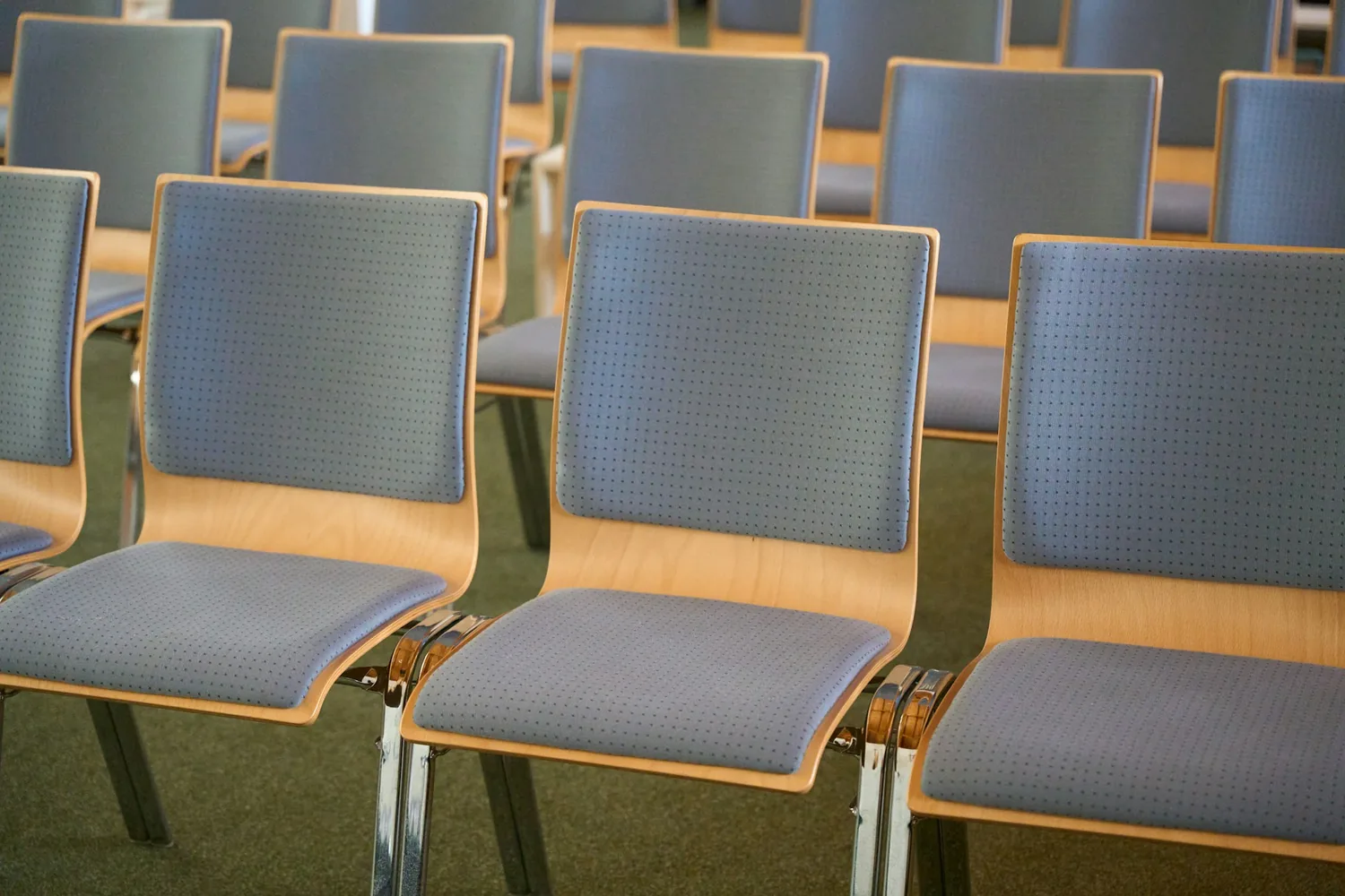 Rangées de chaises vides en bois clair, assise et dossier garnis de tissu bleu, sur une moquette verte