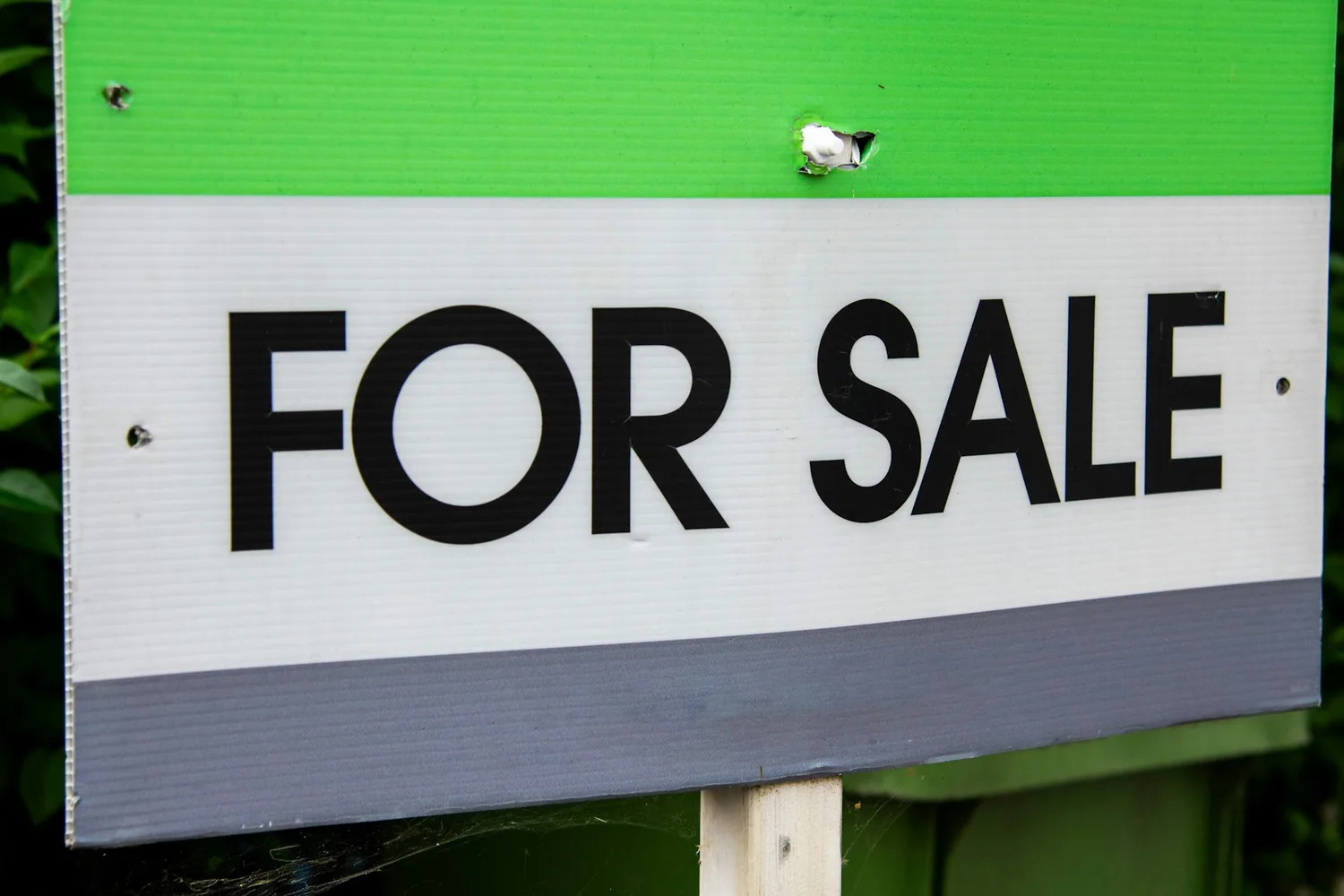 Panneau « For Sale » fixé sur un piquet de bois, devant un feuillage sombre
