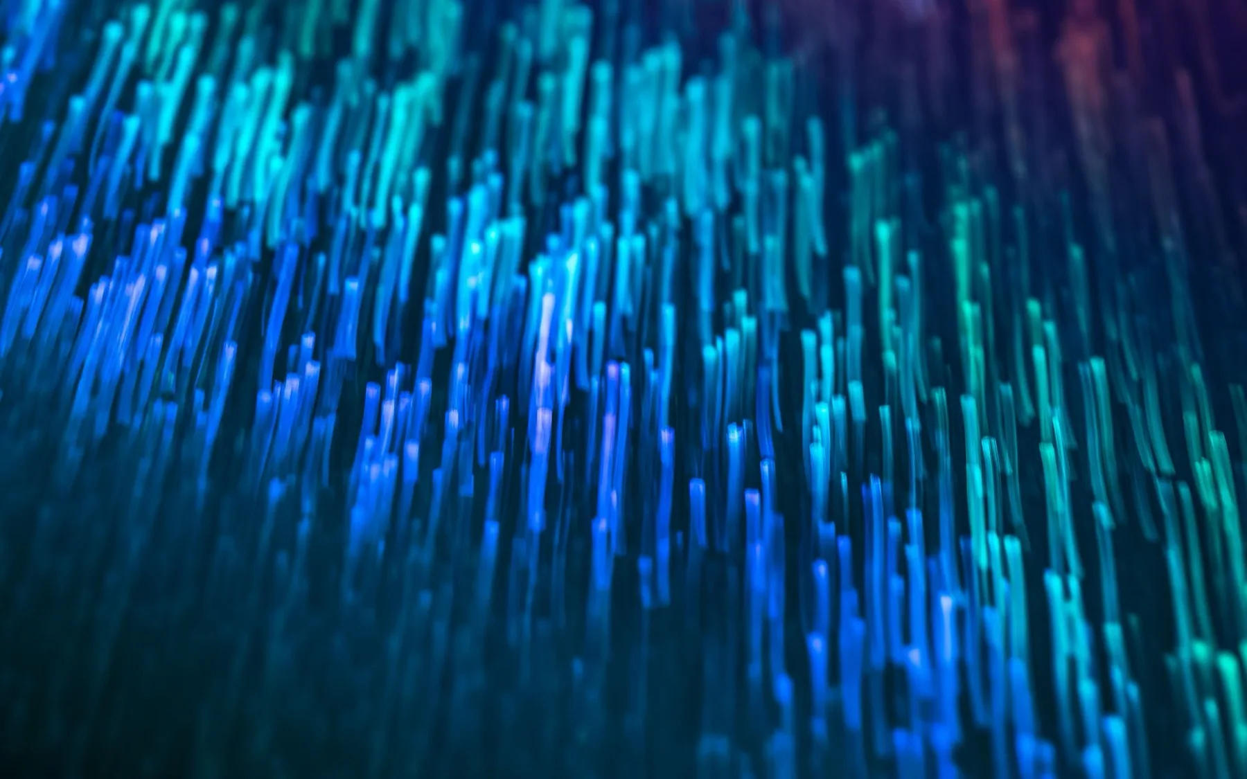 Filaments de fibre optique éclairés en bleu et en turquoise, sur fond sombre